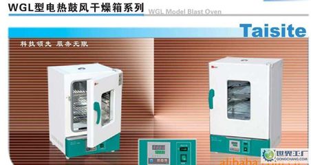 出口型鼓風干燥箱、WGL-30B烘箱、精密恒溫干燥箱_鼓風干燥箱 _世界工廠網